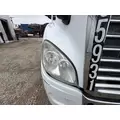 FREIGHTLINER CASCADIA Hood thumbnail 2