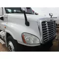 FREIGHTLINER CASCADIA Hood thumbnail 2