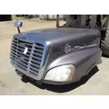 FREIGHTLINER CASCADIA Hood thumbnail 7