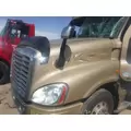 FREIGHTLINER CASCADIA Hood thumbnail 6