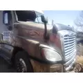 FREIGHTLINER CASCADIA Hood thumbnail 9