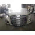 FREIGHTLINER CASCADIA Hood thumbnail 2