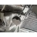 FREIGHTLINER CASCADIA Hood thumbnail 14