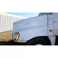 FREIGHTLINER CASCADIA Hood thumbnail 1