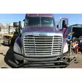 FREIGHTLINER CASCADIA Hood thumbnail 2