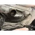 FREIGHTLINER CASCADIA Hood thumbnail 6