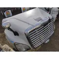 FREIGHTLINER CASCADIA Hood thumbnail 2