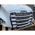 FREIGHTLINER CASCADIA Hood thumbnail 10