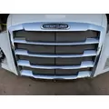 FREIGHTLINER CASCADIA Hood thumbnail 8