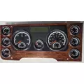 FREIGHTLINER CASCADIA Instrument Cluster thumbnail 1