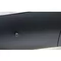 FREIGHTLINER CASCADIA MIRROR ASSEMBLY CABDOOR thumbnail 2