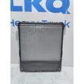 FREIGHTLINER CASCADIA Radiator thumbnail 4