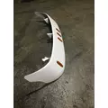 FREIGHTLINER CASCADIA Sun Visor (External) thumbnail 4