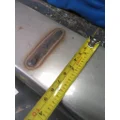 FREIGHTLINER CASCADIA TRANSMISSION OIL COOLER thumbnail 14