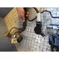 FREIGHTLINER CASCADIA Wire Harness thumbnail 4