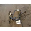 FREIGHTLINER CASCADIA Wire Harness thumbnail 1