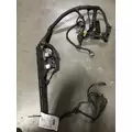 FREIGHTLINER CASCADIA Wire Harness thumbnail 3