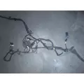 FREIGHTLINER CASCADIA Wire Harness thumbnail 7