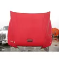 FREIGHTLINER CENTURY 120 1997-2002 HOOD thumbnail 4