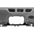 FREIGHTLINER CENTURY 120 1997-2002 HOOD thumbnail 2