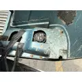 FREIGHTLINER CENTURY 120 2003-2005 HOOD thumbnail 11