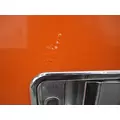 FREIGHTLINER CENTURY 120 DOOR ASSEMBLY, FRONT thumbnail 3