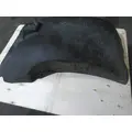 FREIGHTLINER CENTURY 120 FENDER, SPLASH SHIELDGUARD thumbnail 4