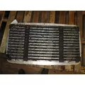 FREIGHTLINER CENTURY 120 GRILLE thumbnail 3