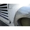 FREIGHTLINER CENTURY 120 HOOD thumbnail 3