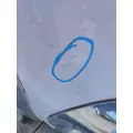 FREIGHTLINER CENTURY 120 HOOD thumbnail 14