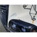 FREIGHTLINER CENTURY 120 HOOD thumbnail 4