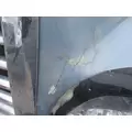 FREIGHTLINER CENTURY 120 HOOD thumbnail 1