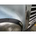 FREIGHTLINER CENTURY 120 HOOD thumbnail 3