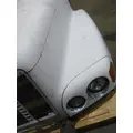 FREIGHTLINER CENTURY 120 HOOD thumbnail 15