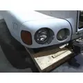 FREIGHTLINER CENTURY 120 HOOD thumbnail 25