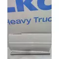 FREIGHTLINER CENTURY 120 Side Fairing thumbnail 2