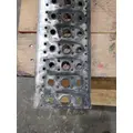 FREIGHTLINER CENTURY 120 TANK STEP thumbnail 4