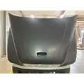 FREIGHTLINER CENTURY CLASS 112 Hood thumbnail 11