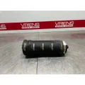 FREIGHTLINER CENTURY CLASS 120 Air Bag thumbnail 1