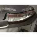 FREIGHTLINER CENTURY CLASS 120 Door Assembly, Front thumbnail 3