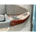 FREIGHTLINER CENTURY CLASS 120 Door Assembly, Front thumbnail 3