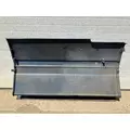 FREIGHTLINER CENTURY CLASS 120 Fairing (Side) thumbnail 2