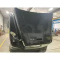 FREIGHTLINER CENTURY CLASS 120 Hood thumbnail 11