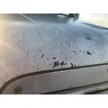 FREIGHTLINER CENTURY CLASS 120 Hood thumbnail 12