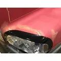 FREIGHTLINER CENTURY CLASS 120 Hood thumbnail 13