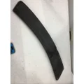 FREIGHTLINER CENTURY FENDER EXTENSION thumbnail 1