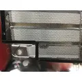 FREIGHTLINER CENTURY GRILLE thumbnail 5