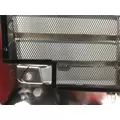 FREIGHTLINER CENTURY Grille thumbnail 4