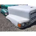 FREIGHTLINER CENTURY Hood thumbnail 2