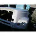 FREIGHTLINER CENTURY Hood thumbnail 2